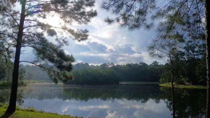 Burton Wells Dog Park - Beaufort, SC