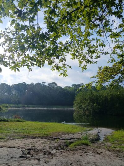 Burton Wells Dog Park - Beaufort, SC