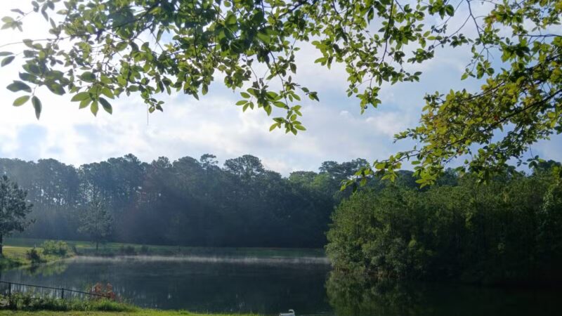 Burton Wells Dog Park - Beaufort, SC