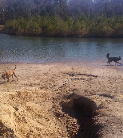 Burton Wells Dog Park - Beaufort, SC