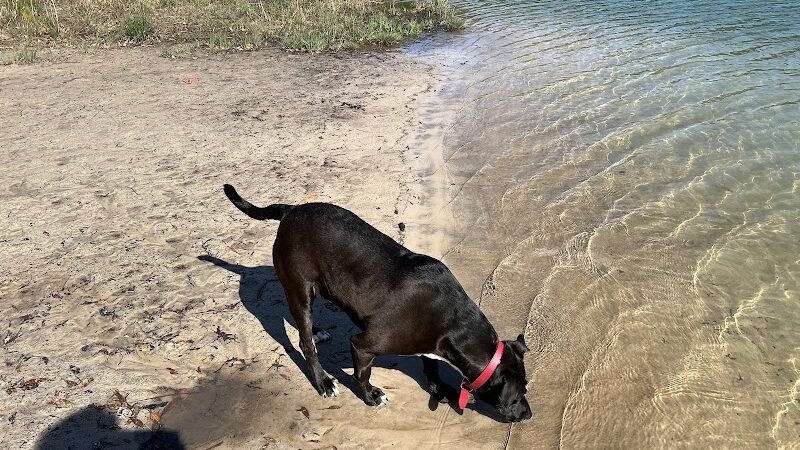Burton Wells Dog Park - Beaufort, SC