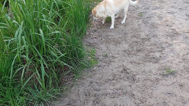 Burton Wells Dog Park - Beaufort, SC