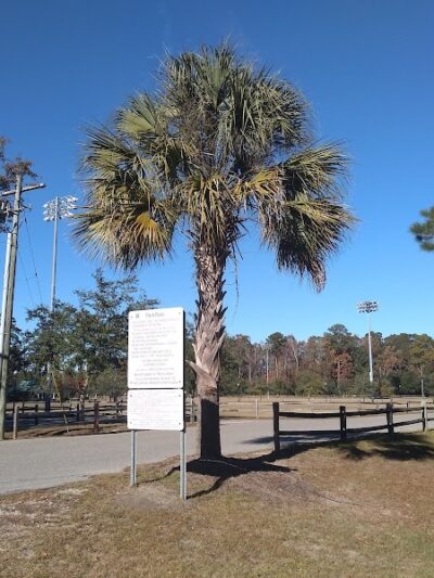 Burton Wells Dog Park - Beaufort, SC
