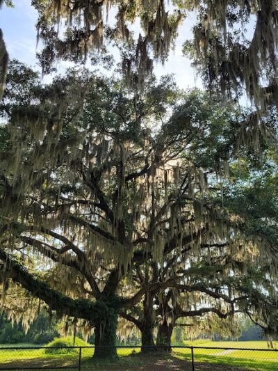 Southside Dog Park - Beaufort, SC