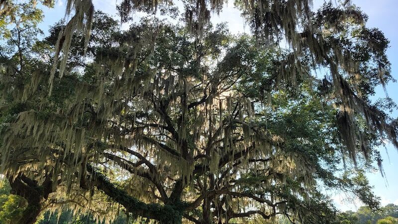 Southside Dog Park - Beaufort, SC