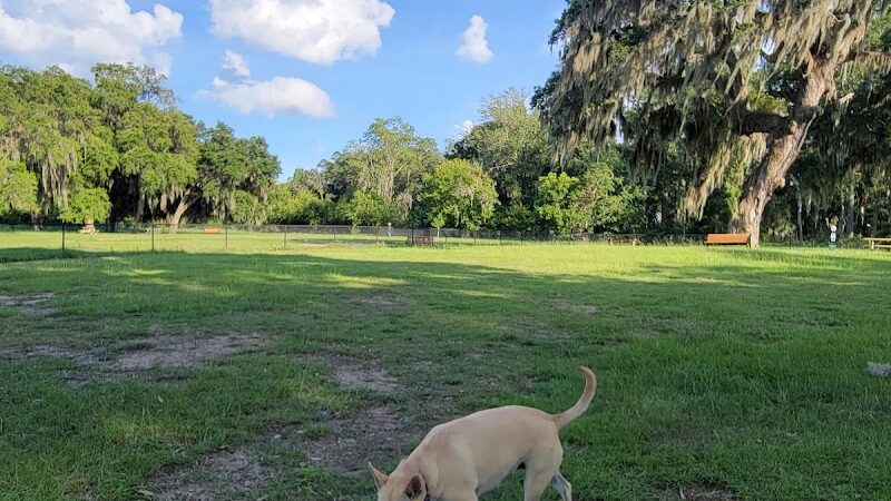 Southside Dog Park - Beaufort, SC