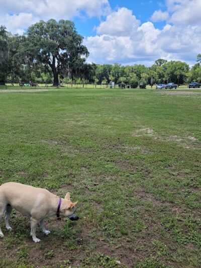 Southside Dog Park - Beaufort, SC