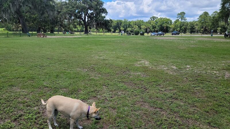 Southside Dog Park - Beaufort, SC
