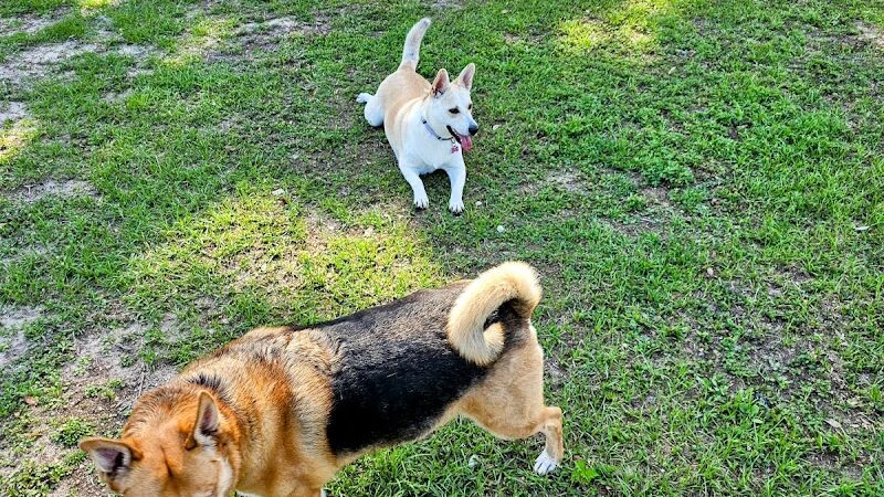 Southside Dog Park - Beaufort, SC
