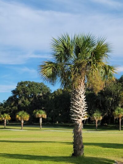 Southside Dog Park - Beaufort, SC