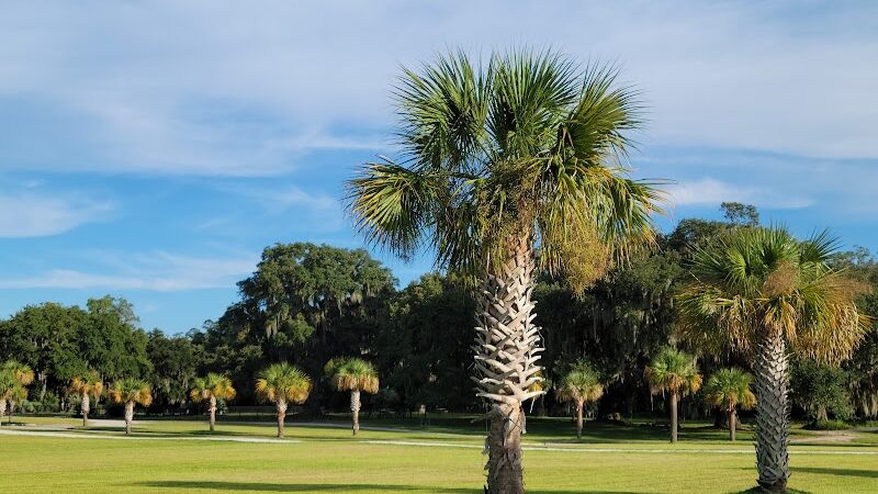 Southside Dog Park - Beaufort, SC