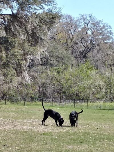 Southside Dog Park - Beaufort, SC