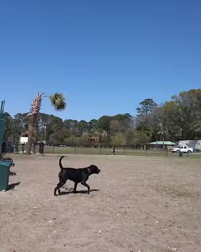 Southside Dog Park - Beaufort, SC