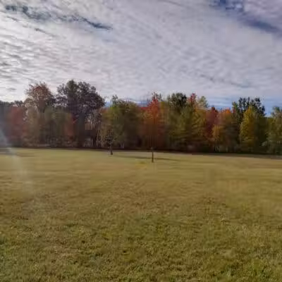 Billings Township Park - Beaverton, MI