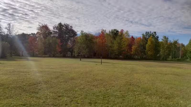 Billings Township Park - Beaverton, MI