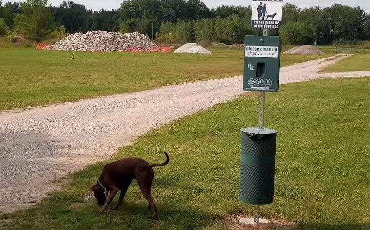 Billings Township Park - Beaverton, MI