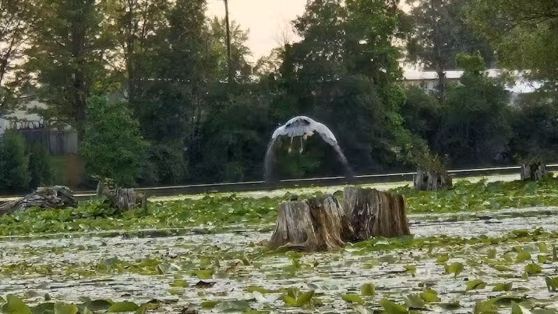 Ross Lake Park - Beaverton, MI
