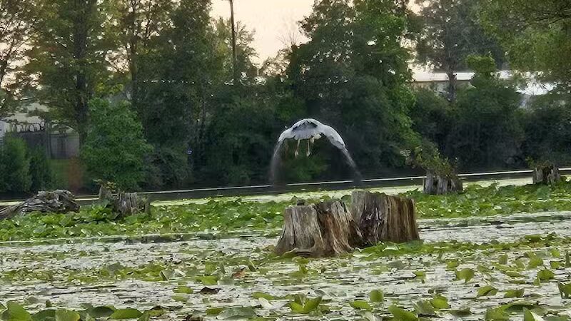 Ross Lake Park - Beaverton, MI