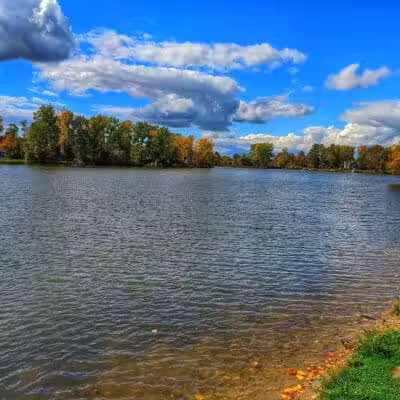 Ross Lake Park - Beaverton, MI