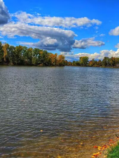 Ross Lake Park - Beaverton, MI