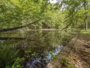 District Township Conservation and Recreation Area - Bechtelsville, PA