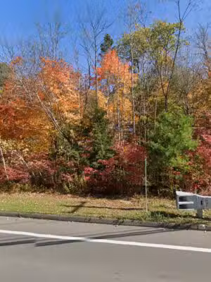 Becket Town Park - Becket, MA