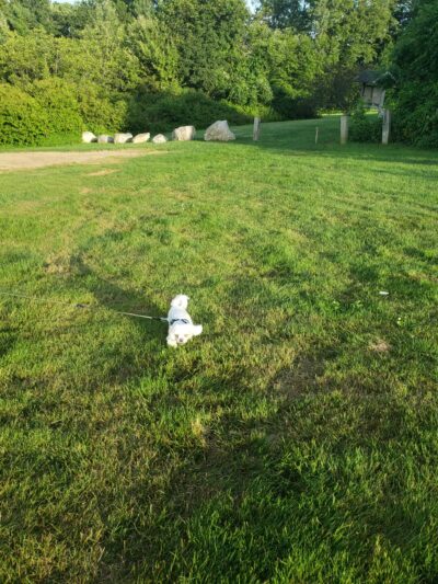 Benedictine Park - Bedford, NH