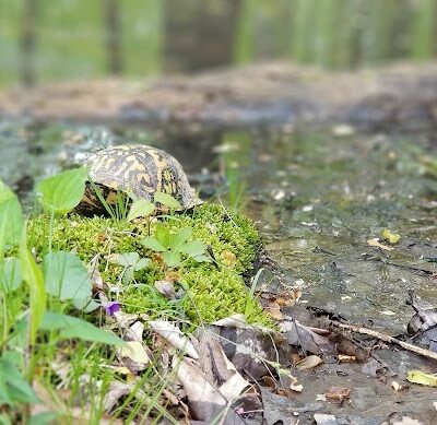 Murray Park - Bedford, IN