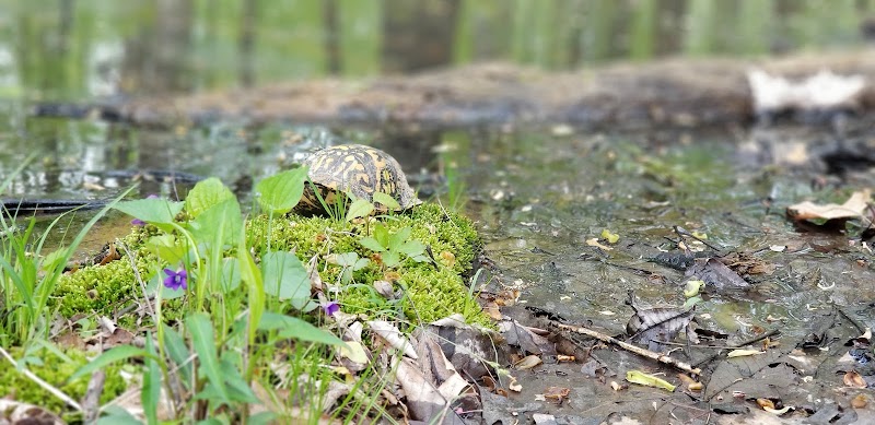 Murray Park - Bedford, IN