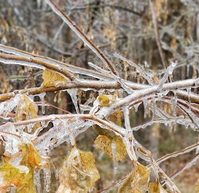 Murray Park - Bedford, IN