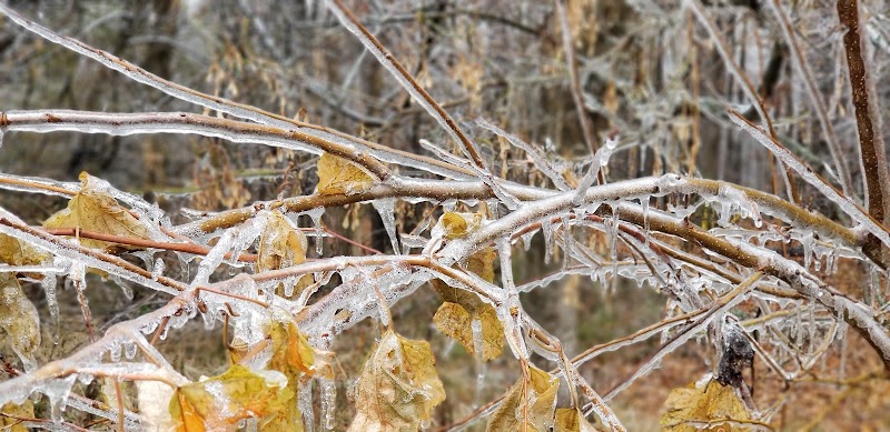 Murray Park - Bedford, IN