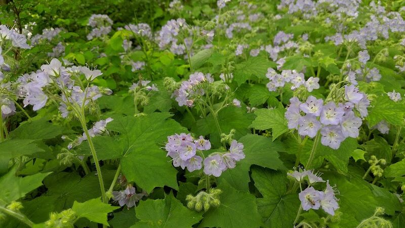 Murray Park - Bedford, IN