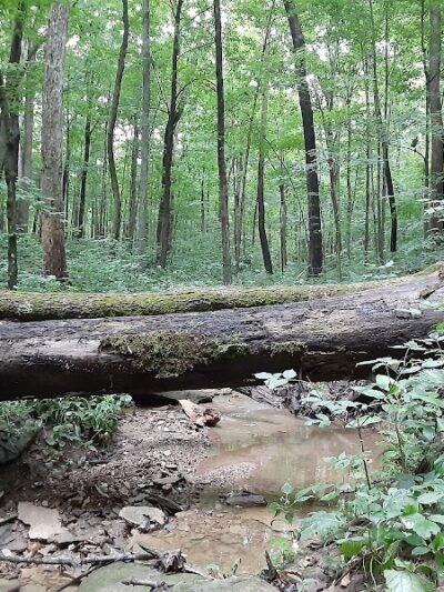 Murray Park - Bedford, IN