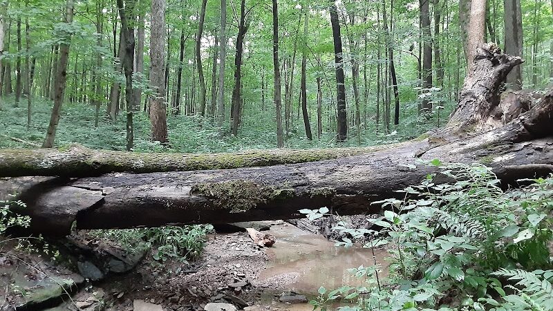 Murray Park - Bedford, IN