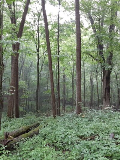 Murray Park - Bedford, IN