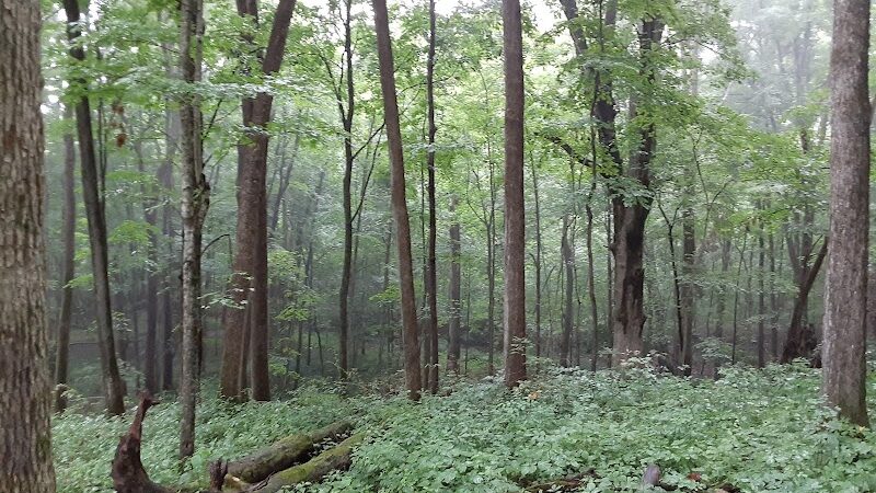 Murray Park - Bedford, IN