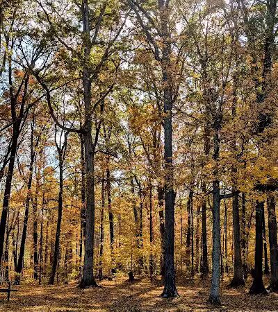 Murray Park - Bedford, IN