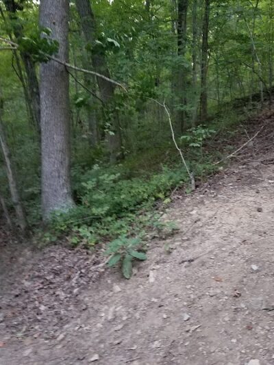 Wilson Park - Bedford, IN