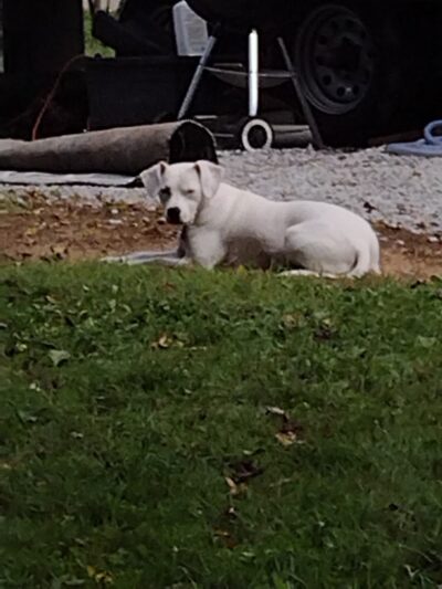 Betty Rv Park - Beech Island, SC