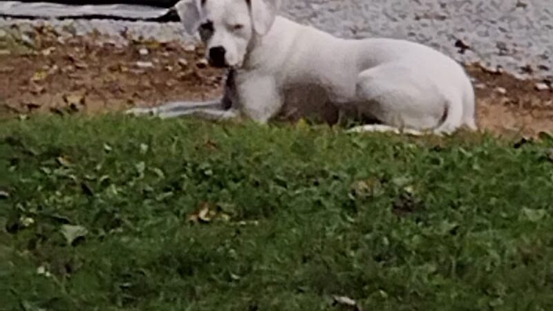 Betty Rv Park - Beech Island, SC