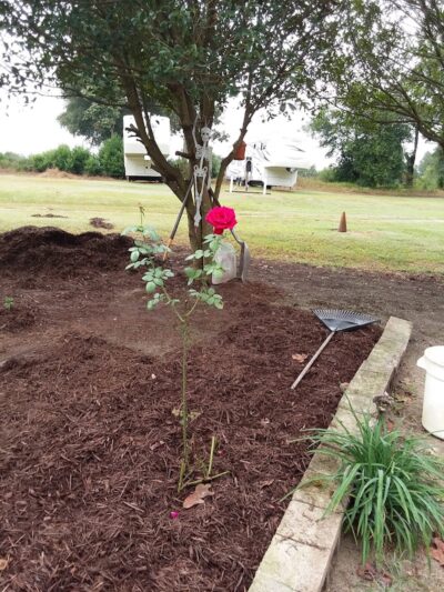 Betty Rv Park - Beech Island, SC