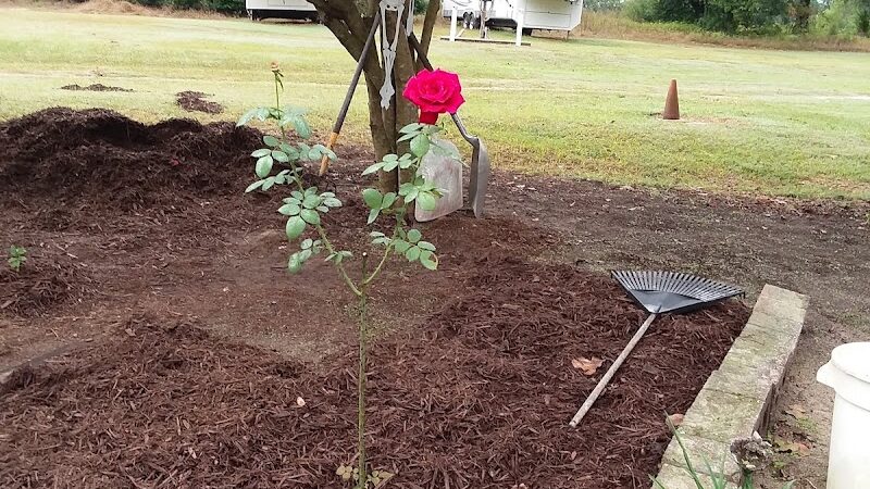 Betty Rv Park - Beech Island, SC