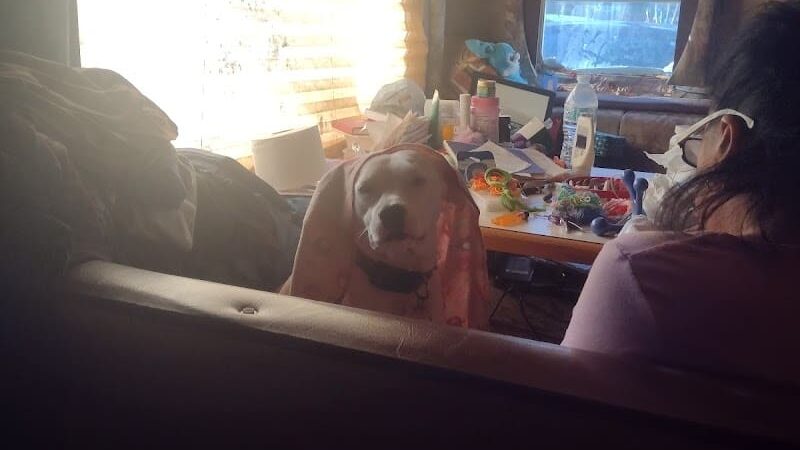 Betty Rv Park - Beech Island, SC