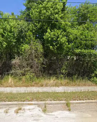 HICLYFE PAWS - Beech Island, SC