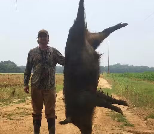 River Bottom Outfitters - Beech Island, SC