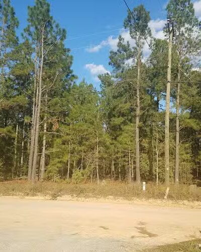 Spiderweb Park - Beech Island, SC