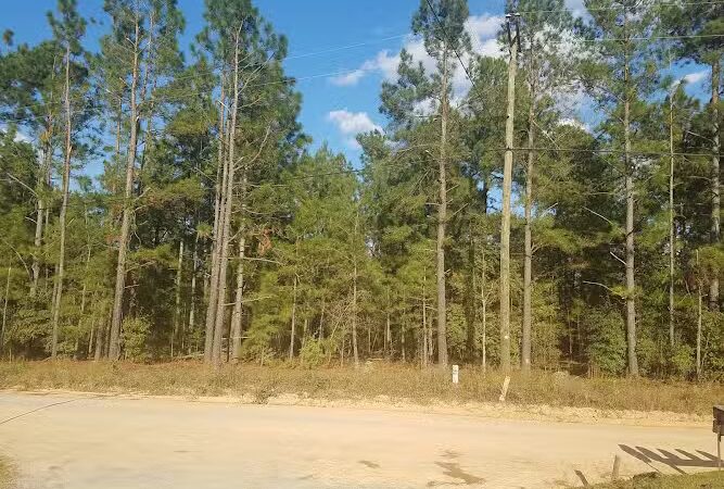Spiderweb Park - Beech Island, SC