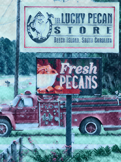 Whispering Oaks RV Park - Beech Island, SC