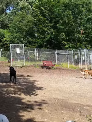 Ma & Pa Dog Park - Bel Air, MD
