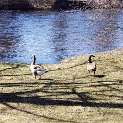 Water Street Park - Belding,